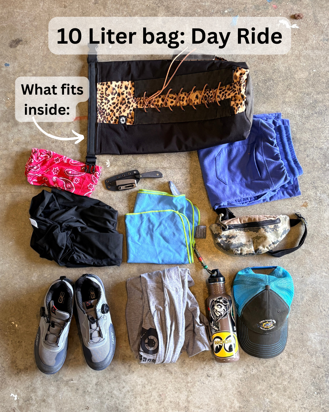 Custom Bridle Print Sissy Bar Bag