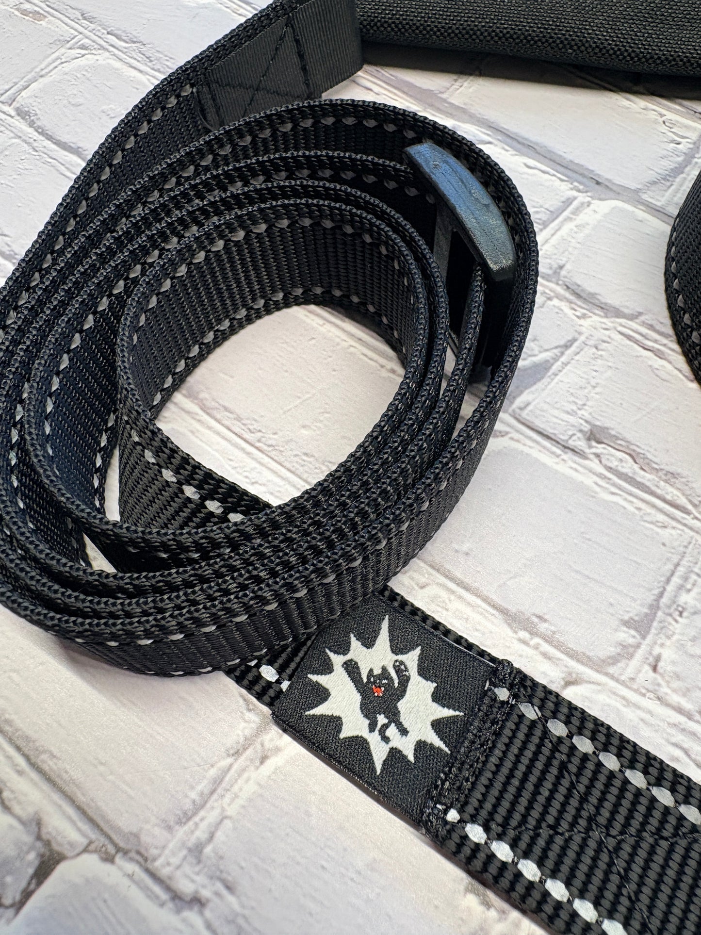 Reflective Tie-Down Straps